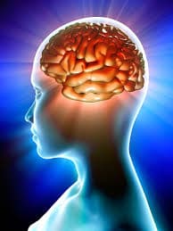 Multitasking Brain