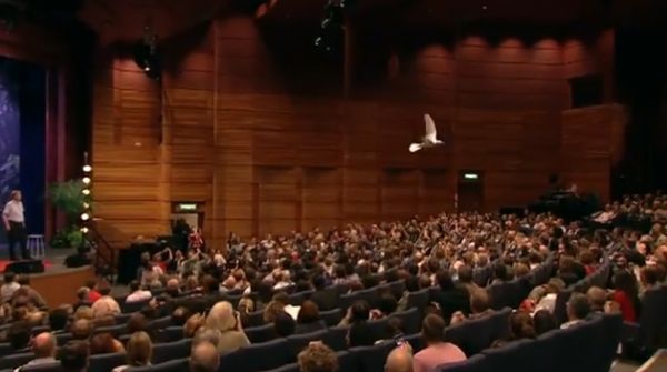 Man has possessed the power of technology-assisted flight for over a century now, but the way that birds are able to fly is something that has eluded us...