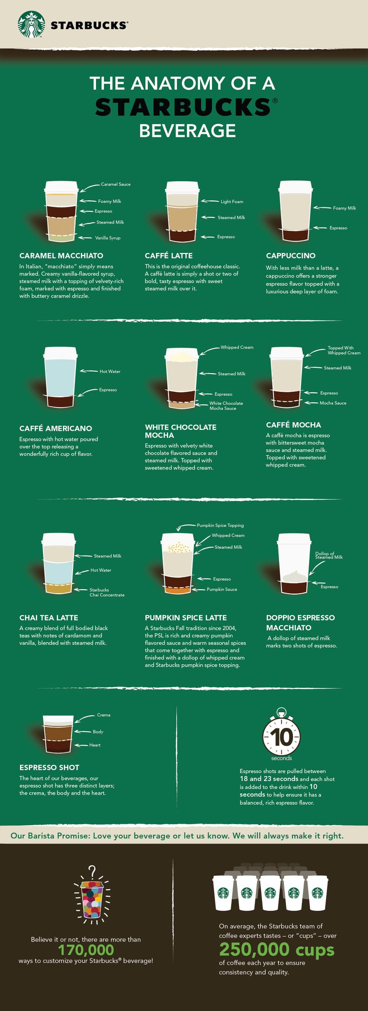 Starbucks Coffee Infographic