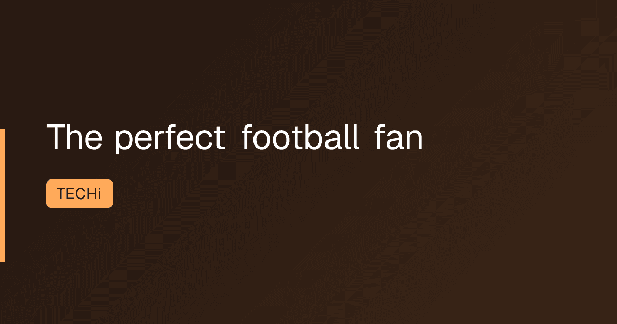 The perfect football fan