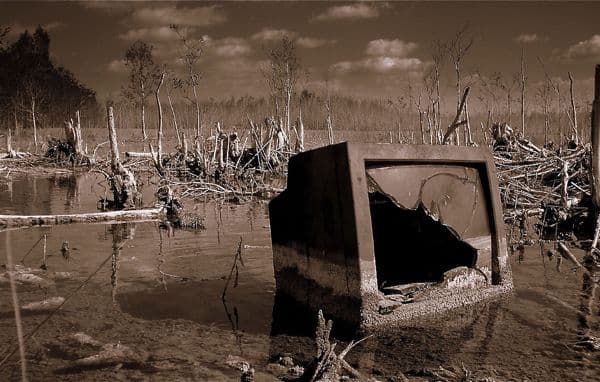 Ever since broadband internet hit the mainstream around the turn of the millennium, we have been hearing how the web would spell the end of traditional...