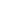 PLTR logo