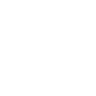 V logo