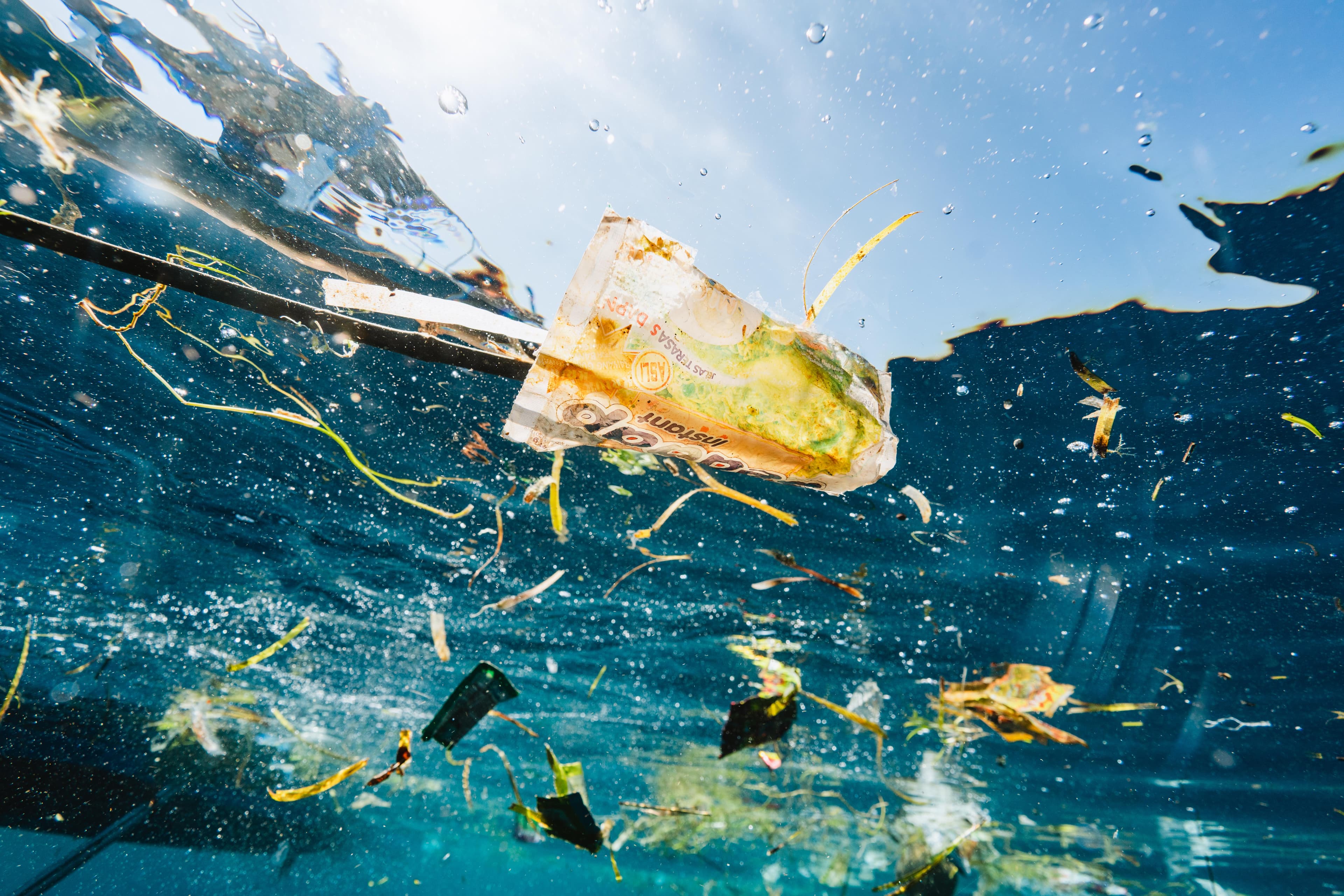 Wave Browser Brings Ocean Cleanup Into Everyday Browsing