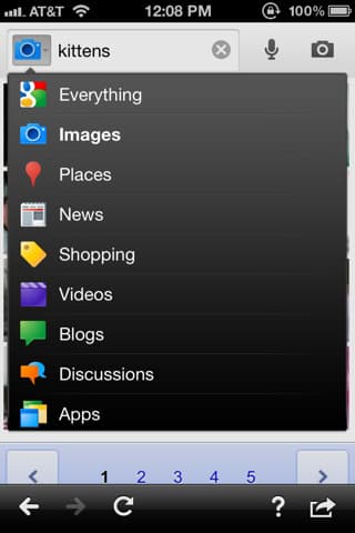 Google Mobile Search Options
