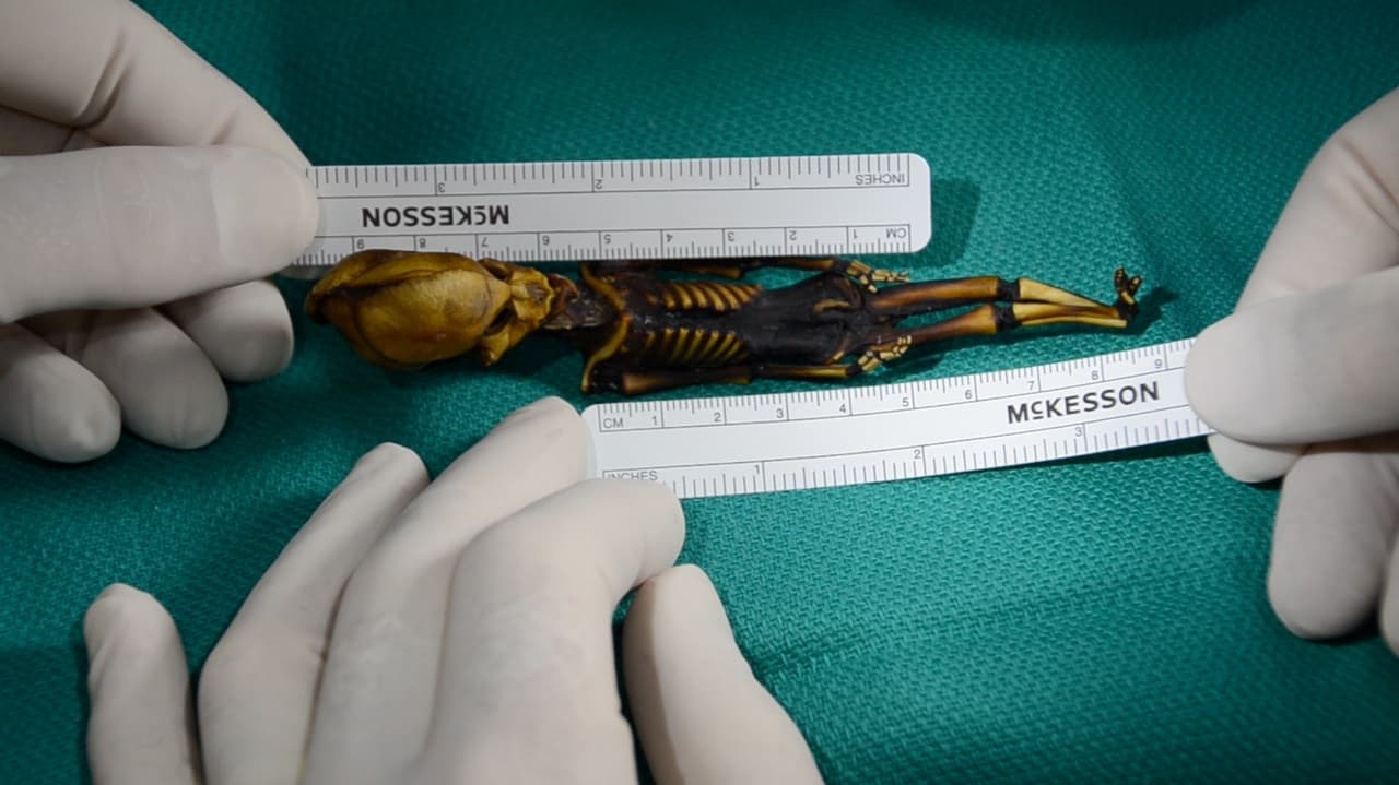 ata-6-inch-alien-2
