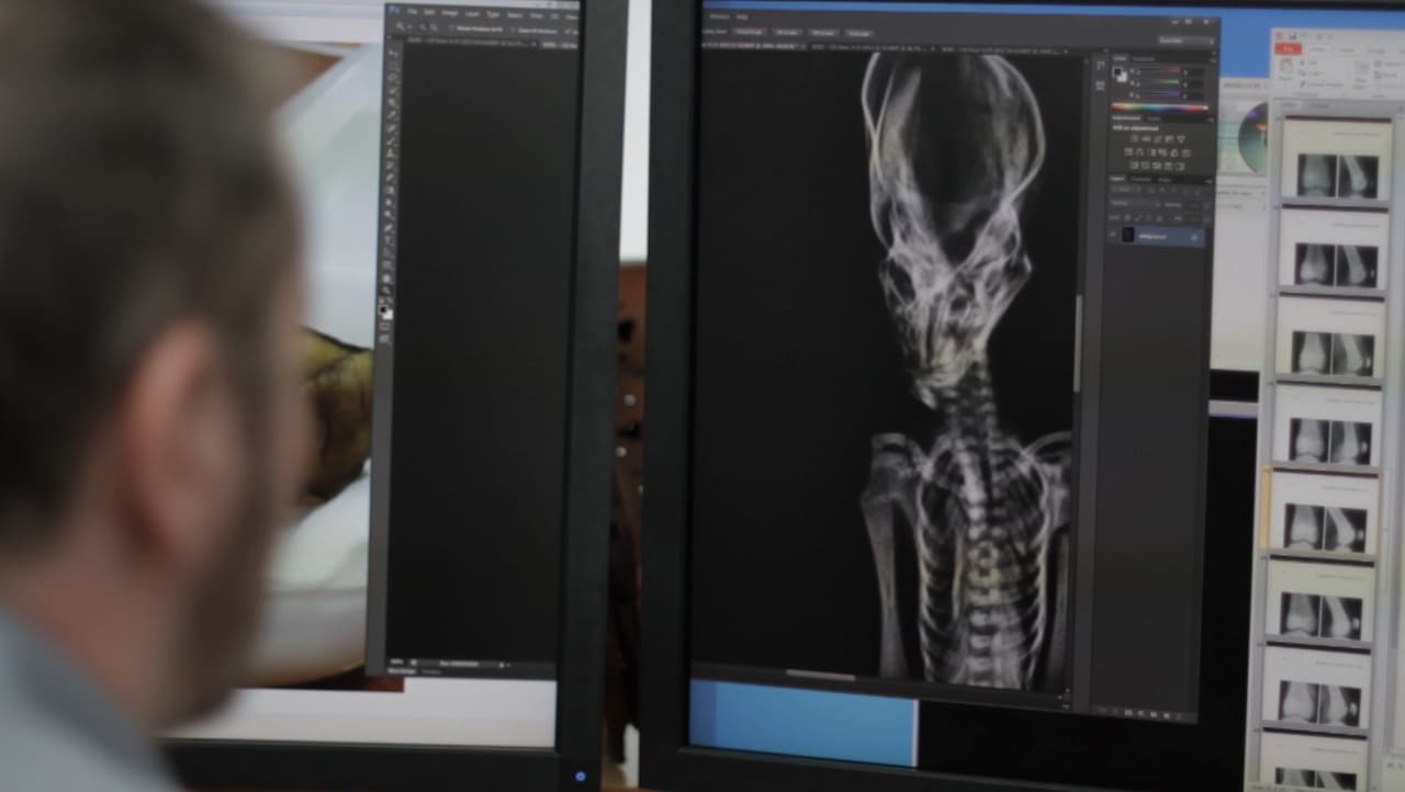 alien-ct-scan-2