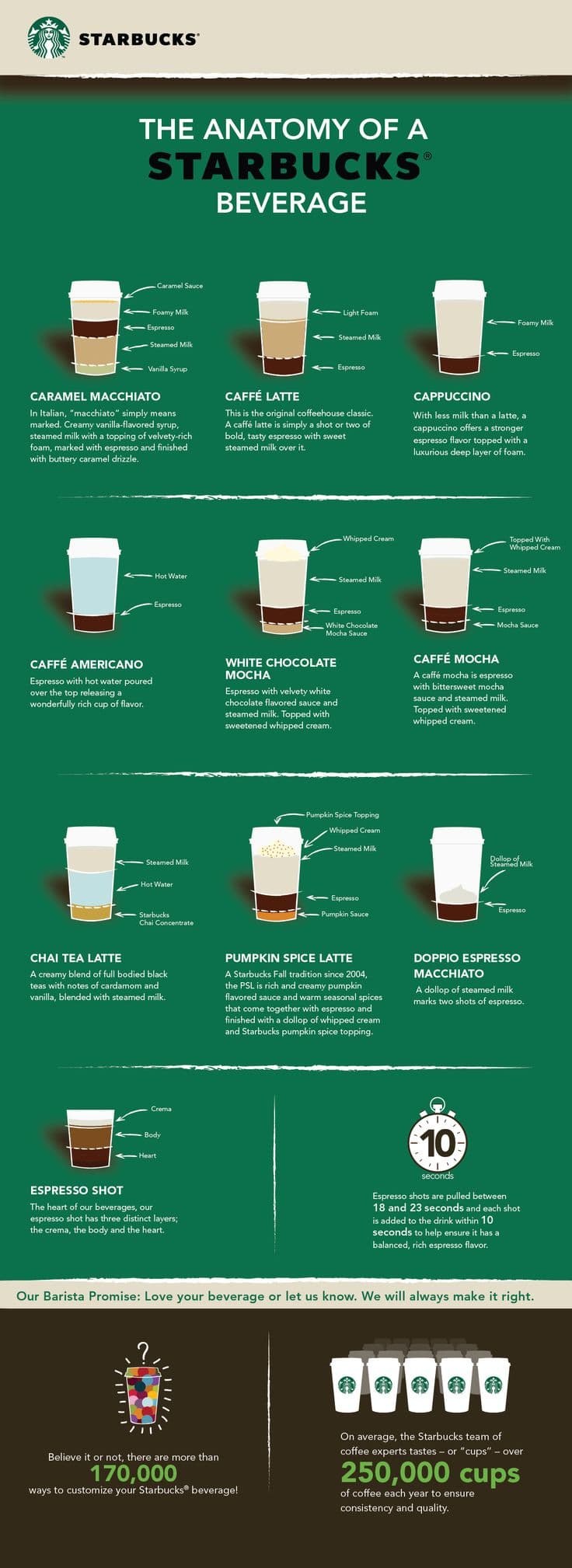Starbucks Coffee Infographic