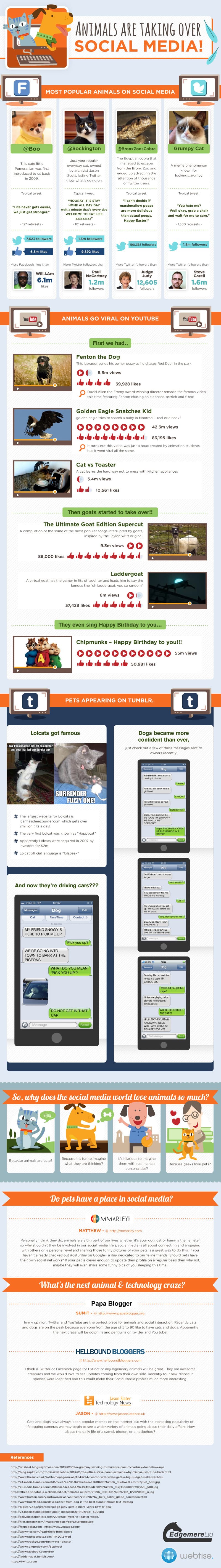 Animals Taking Over Social Media Infographic