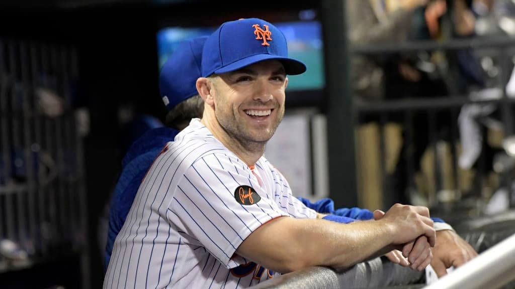 Vote David Wright