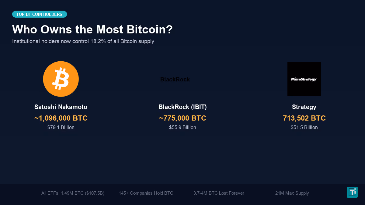 Top Bitcoin holders comparison showing Satoshi Nakamoto, BlackRock IBIT, and Strategy BTC holdings with values