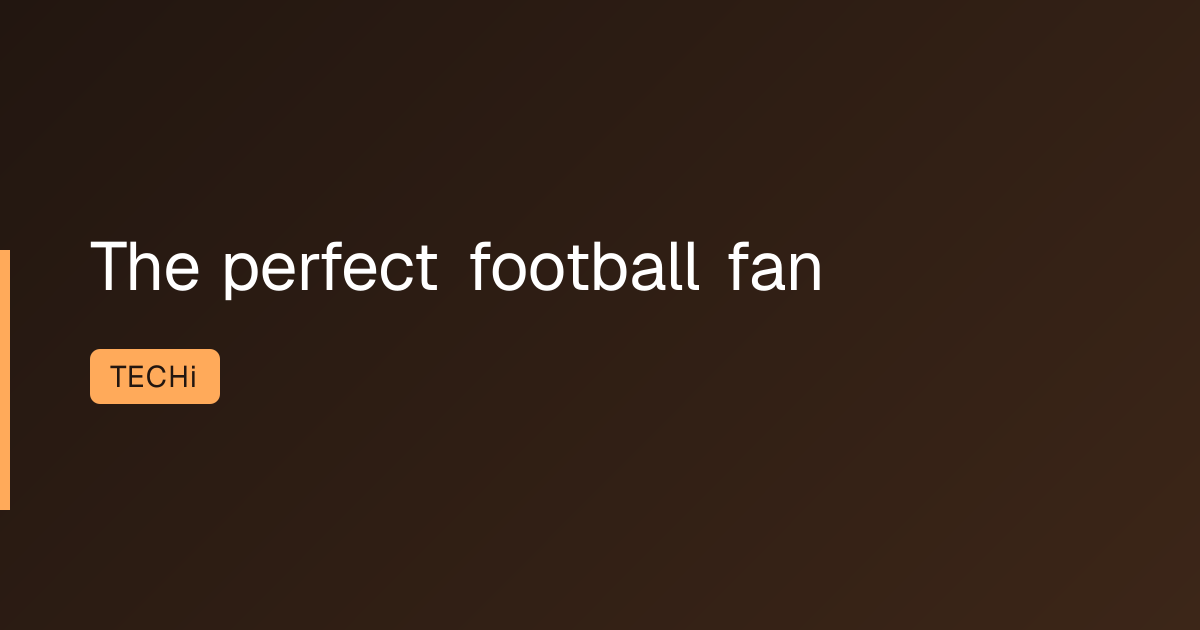 The perfect football fan