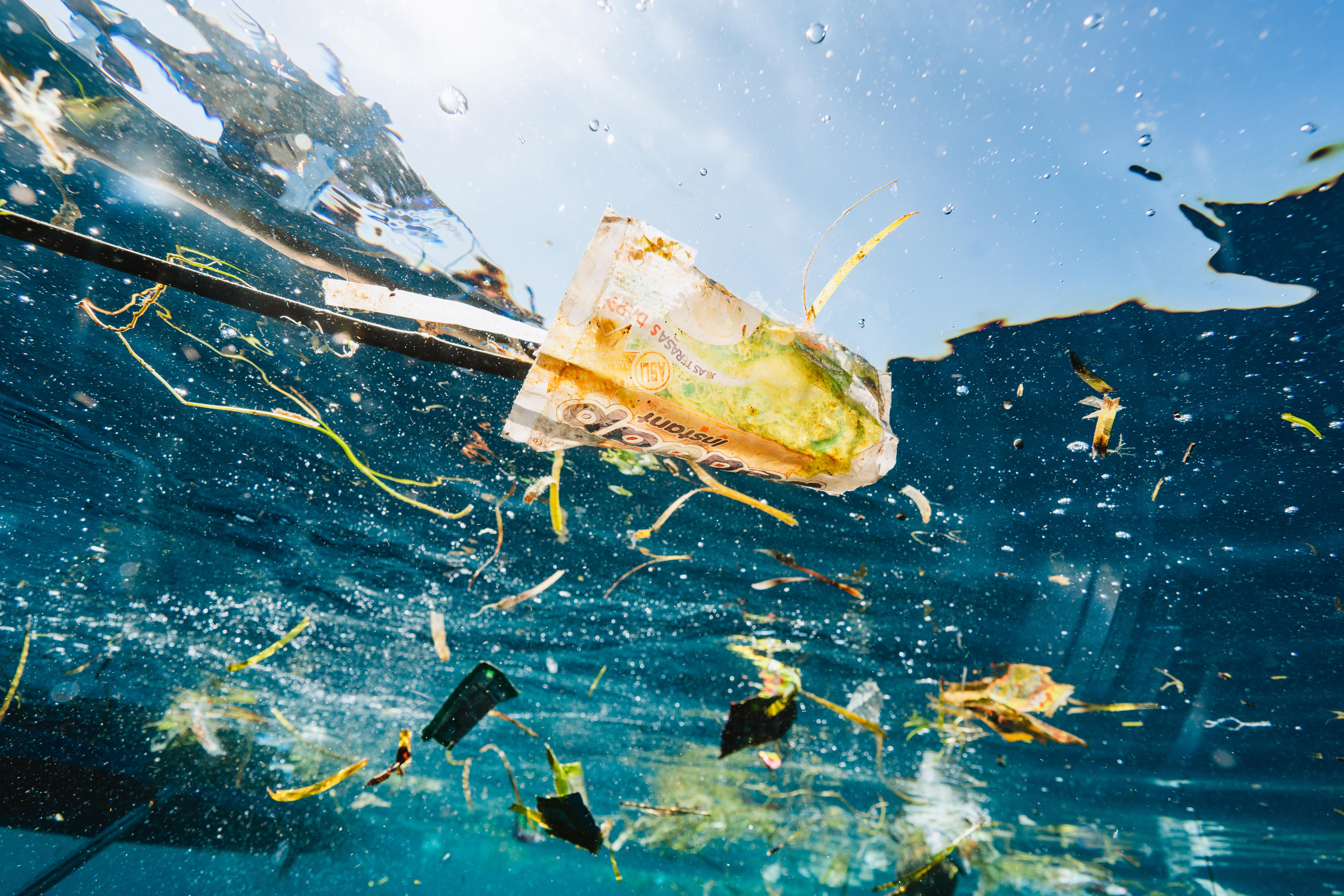 Wave Browser Brings Ocean Cleanup Into Everyday Browsing