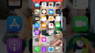 How Do You Destroy the Cellphone Industry? With a $1 iPhone App