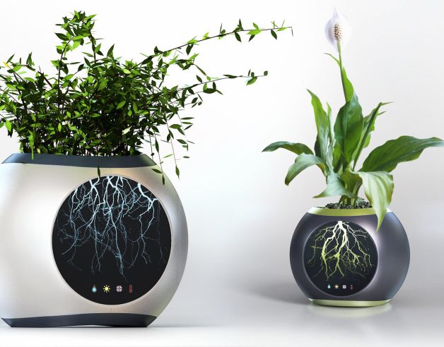 The Eye: Flowerpots For Dummies