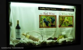 Samsung Transparent LCD Screen Shown at SID 2010