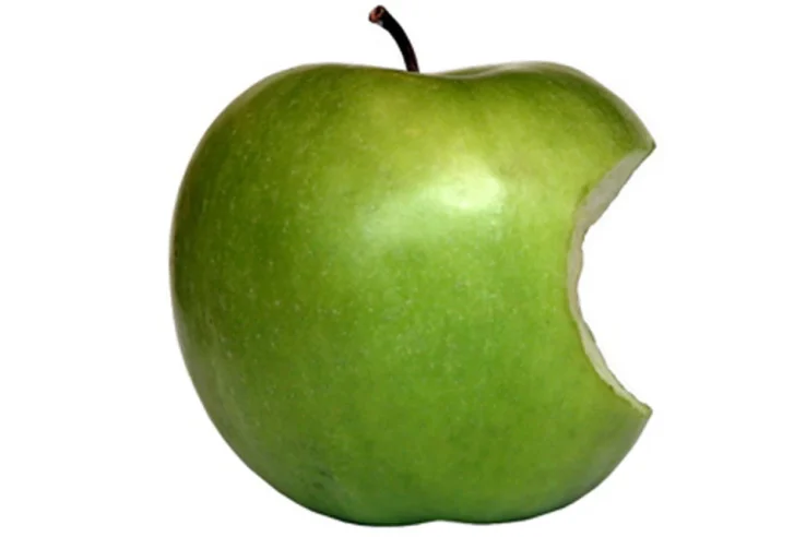 The Gig’s Up, Jobs: EU Law Might Force Apple to Allow Flash and Open iTunes