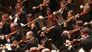 Sony Taps a Different Market: Music Snobs