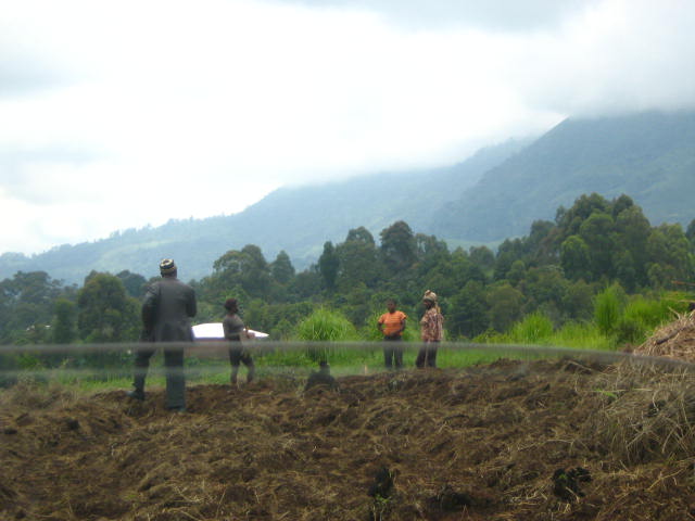 You Thought Print Media Was Dead? Bro, You Haven't Read Successful Farming