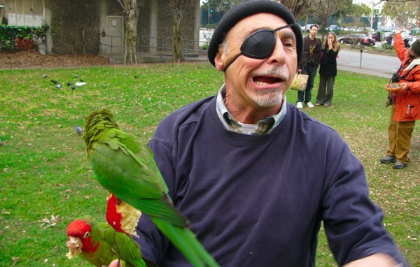 Halloween's Most Popular Costume? Pirates!