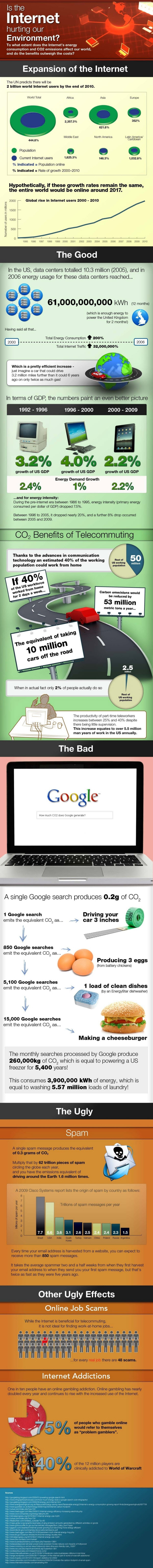 internet-environment-infographic-600-scaled-1-1