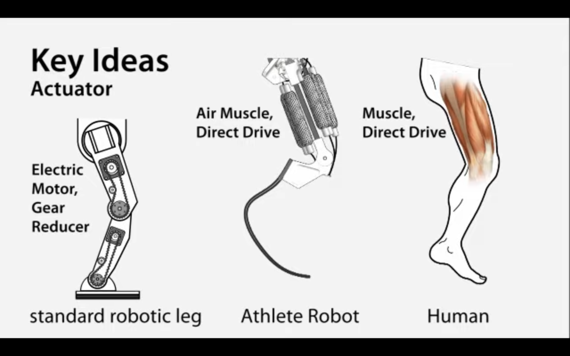 Japanese Robot Can (Almost) Run - We Are So Doomed
