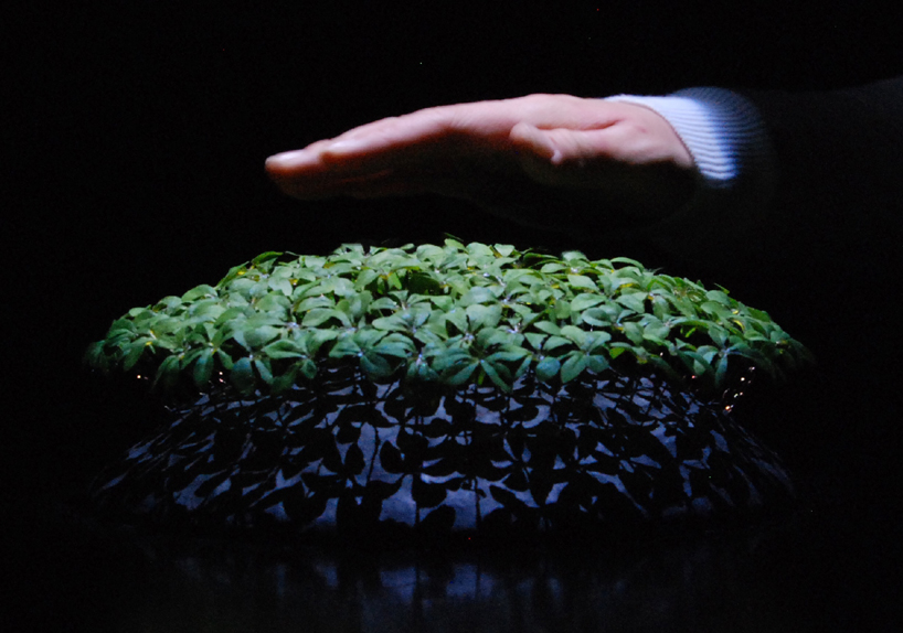Robotic Plant Ushers in New Age of Unnecessary Robotics