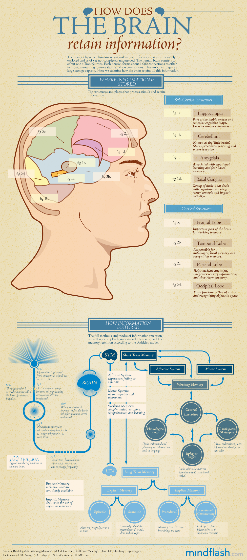 110802-mf-brainretention-1-1