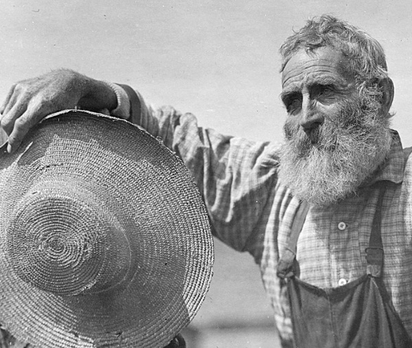 Demand Media Lives On: The Moral of Google's "Farmer" Algorithm Change