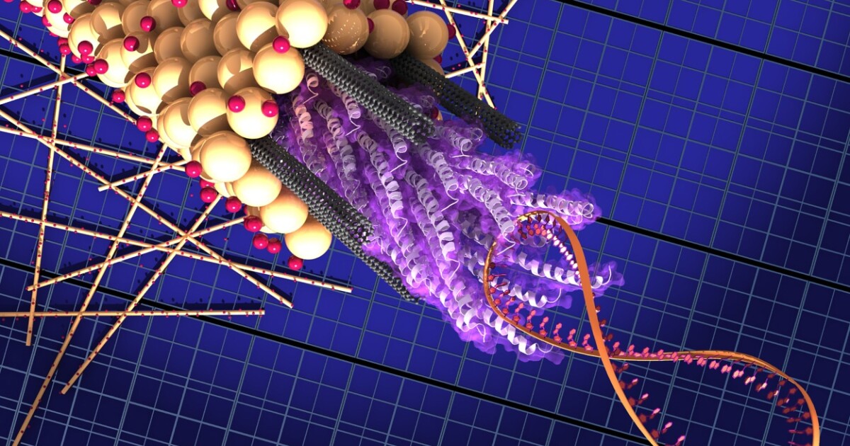 Carbon Nanotubes