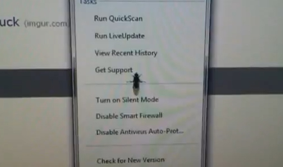 A fly on a touchscreen