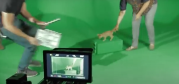 The truth about cat videos