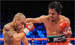 Web designers vs web developers