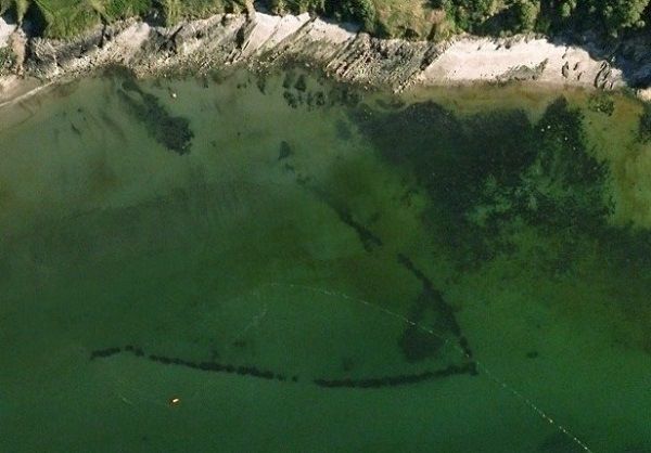 You know what's cool? One billion Google Earth downloads