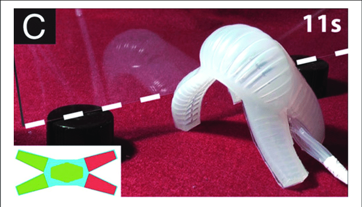The creepiest crawling robot you'll see all day