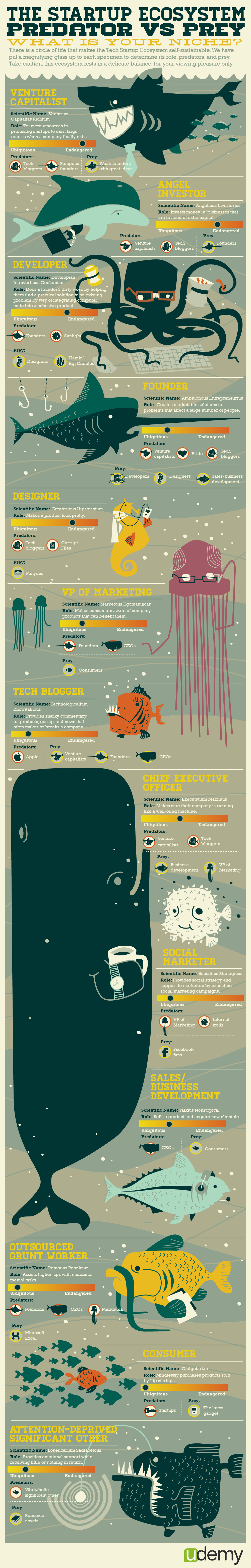 startup-ecosystem-infographic-1-1