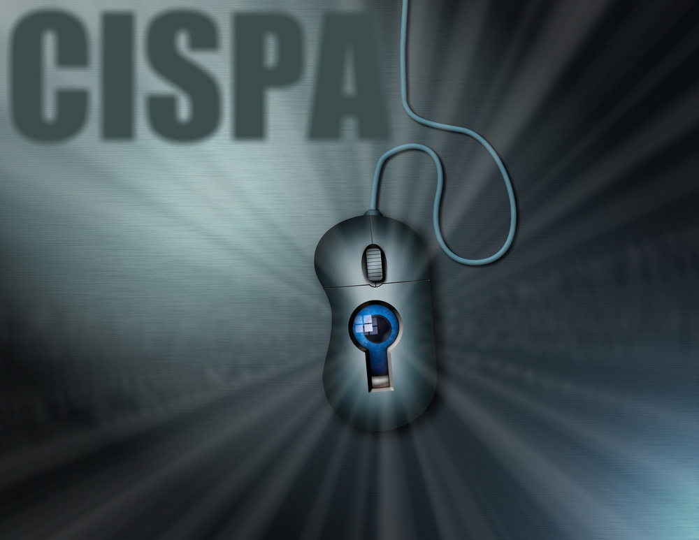 The internet was all abuzz about SOPA and PIPA and proved a worthy foe against government oppression by quashing the bills before they could get too much...