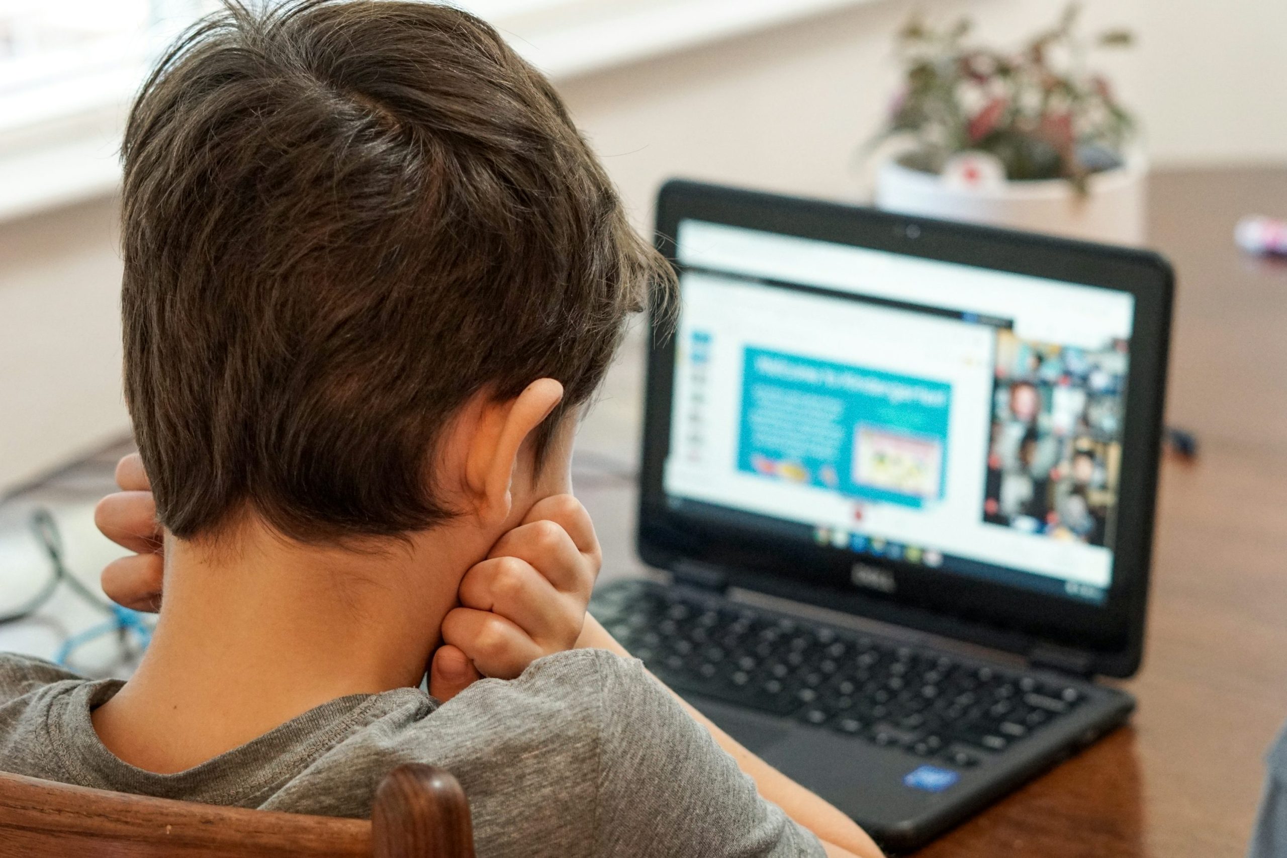 What do you really get from an online education?