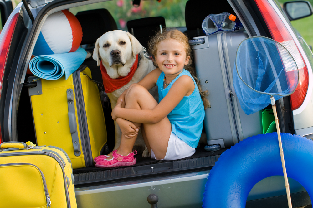 Great mobile apps for summer travel