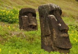 Easter Island may hold the key to curing Alzheimer’s
