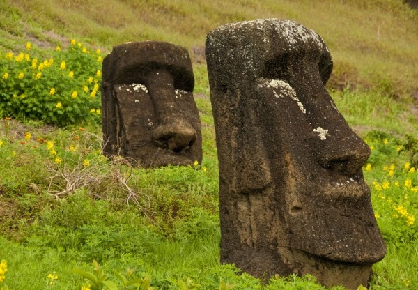 Easter Island may hold the key to curing Alzheimer's