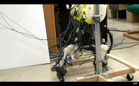 Biologically accurate legs make walking look weird