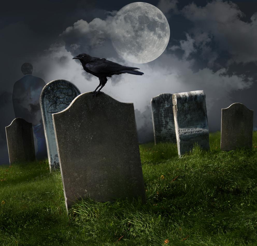 Stop Killing Social Networks by Begging for Likes and ReTweets