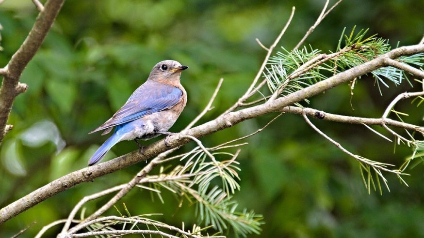 Twitter has become the Dark Defender