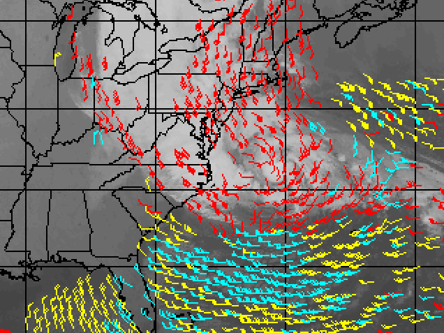 hurricane_sandy_high_wind-2