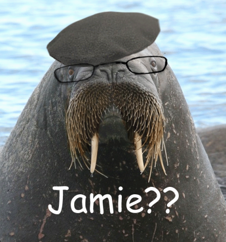 Jamie from MythBusters Walrus