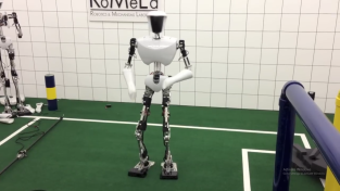 Robotic Gangnam style…yep