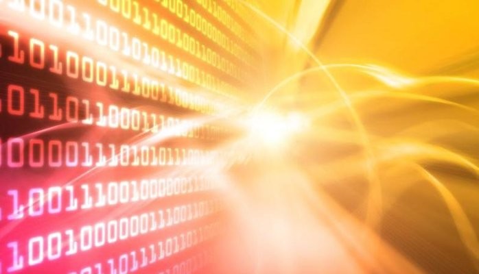 At what age did professional programmers start?