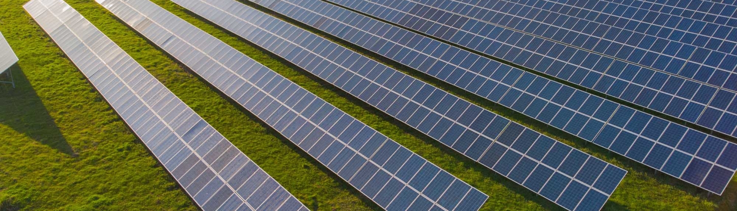 Light up your path way with solar-powered bricks