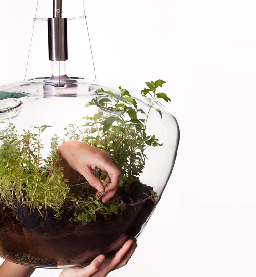 Terrarium hanging pendant lamp